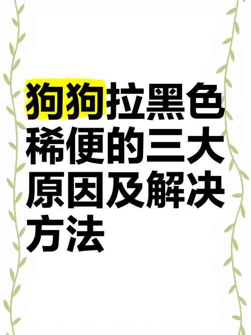 狗狗拉黑屎怎么回事_狗狗拉黑便怎么回事及治疗-第3张图片-后鲨宠物
