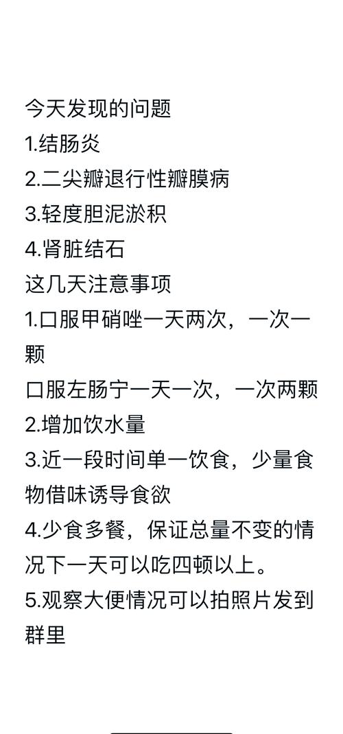 狗狗拉黑屎怎么回事_狗狗拉黑便怎么回事及治疗-第5张图片-后鲨宠物