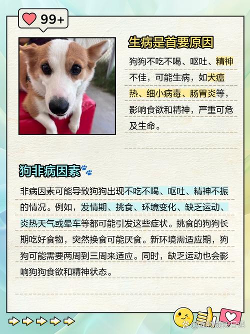 狗狗不吃东西是怎么回事_我家狗狗不吃东西是怎么回事