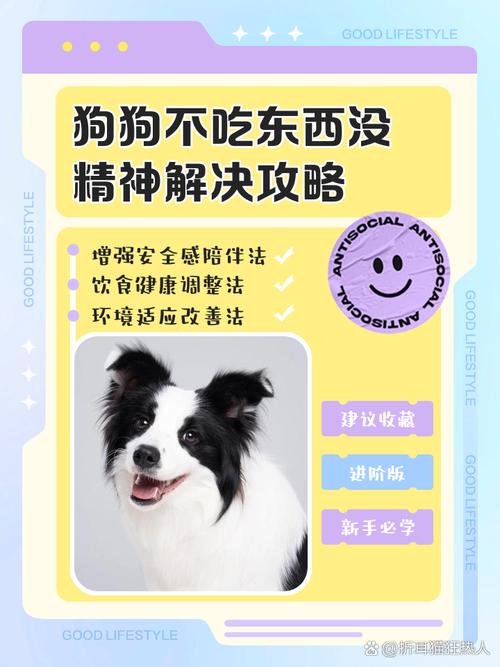 狗狗不吃东西是怎么回事_我家狗狗不吃东西是怎么回事-第2张图片-后鲨宠物 狗狗不吃东西是怎么回事_我家狗狗不吃东西是怎么回事-第2张图片-后鲨宠物