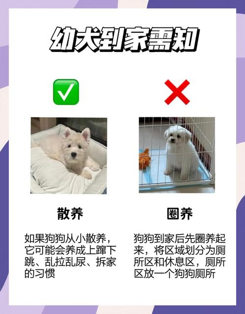 狗狗几个月体内驱虫,狗狗几个月才能驱虫-第2张图片-后鲨宠物 狗狗几个月体内驱虫,狗狗几个月才能驱虫-第2张图片-后鲨宠物