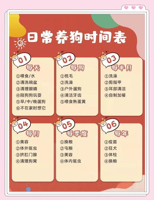 狗狗三联疫苗多少钱_狗狗三联疫苗费用-第5张图片-后鲨宠物