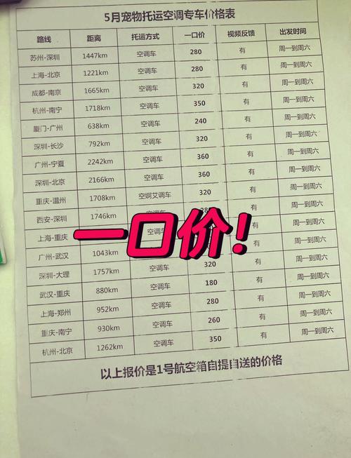 猫咪怎么上高铁,猫咪怎么上高铁飞机-第4张图片-后鲨宠物 猫咪怎么上高铁,猫咪怎么上高铁飞机-第4张图片-后鲨宠物