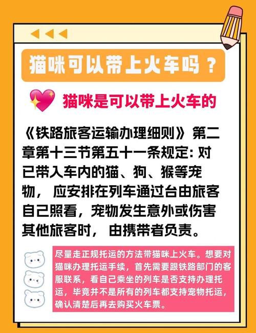 猫咪怎么上高铁,猫咪怎么上高铁飞机-第5张图片-后鲨宠物 猫咪怎么上高铁,猫咪怎么上高铁飞机-第5张图片-后鲨宠物
