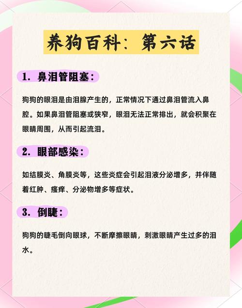 狗狗流眼泪是什么原因，狗出眼泪是什么情况？-第4张图片-后鲨宠物