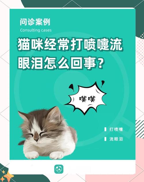 小猫咪打喷嚏怎么办,小猫打喷嚏严重是什么情况-第4张图片-后鲨宠物 小猫咪打喷嚏怎么办,小猫打喷嚏严重是什么情况-第4张图片-后鲨宠物