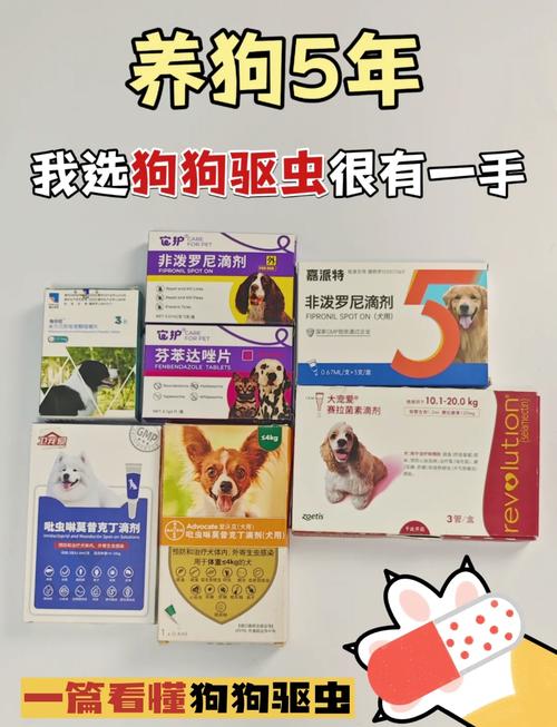 狗狗驱虫药哪个好,狗狗驱虫用什么牌子的药-第6张图片-后鲨宠物 狗狗驱虫药哪个好,狗狗驱虫用什么牌子的药-第6张图片-后鲨宠物
