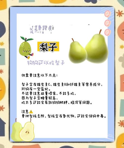 狗狗能吃梨子吗_狗最爱的水果第一名