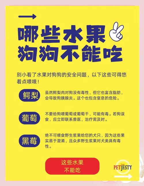 狗狗能吃梨子吗_狗最爱的水果第一名-第2张图片-后鲨宠物 狗狗能吃梨子吗_狗最爱的水果第一名-第2张图片-后鲨宠物