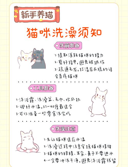 怎么给猫咪洗澡，怎么给猫咪洗澡的正确方法？