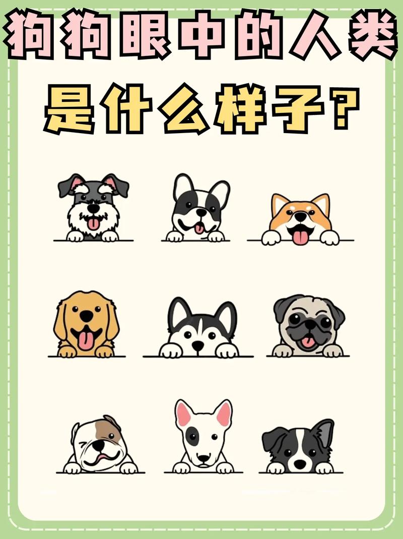 狗狗能看见颜色吗,狗狗能看见颜色嘛?-第4张图片-后鲨宠物 狗狗能看见颜色吗,狗狗能看见颜色嘛?-第4张图片-后鲨宠物