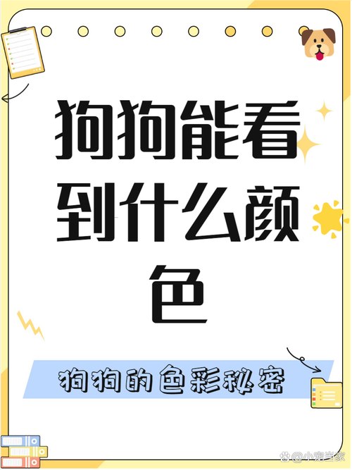 狗狗能看见颜色吗,狗狗能看见颜色嘛?-第5张图片-后鲨宠物 狗狗能看见颜色吗,狗狗能看见颜色嘛?-第5张图片-后鲨宠物