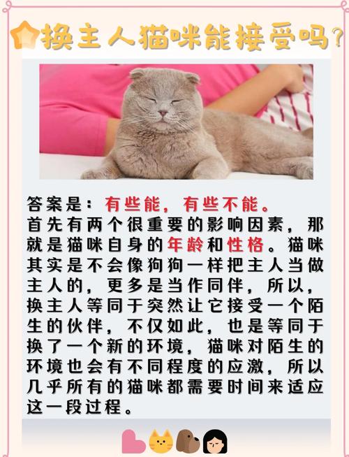 猫咪换主人会难过吗_猫换主人会觉得自己被抛弃吗-第3张图片-后鲨宠物 猫咪换主人会难过吗_猫换主人会觉得自己被抛弃吗-第3张图片-后鲨宠物
