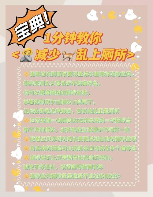 猫咪乱拉屎怎么办,猫咪拉尿拉不出来怎么办?-第1张图片-后鲨宠物 猫咪乱拉屎怎么办,猫咪拉尿拉不出来怎么办?-第1张图片-后鲨宠物