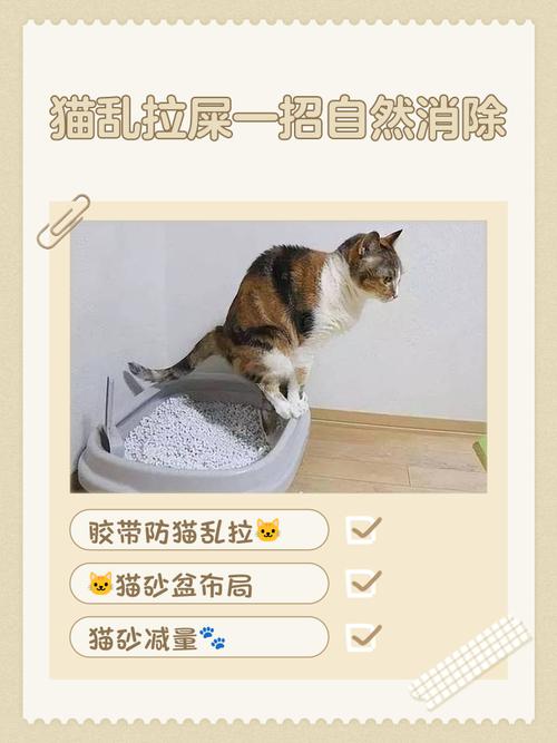 猫咪乱拉屎怎么办,猫咪拉尿拉不出来怎么办?-第3张图片-后鲨宠物 猫咪乱拉屎怎么办,猫咪拉尿拉不出来怎么办?-第3张图片-后鲨宠物