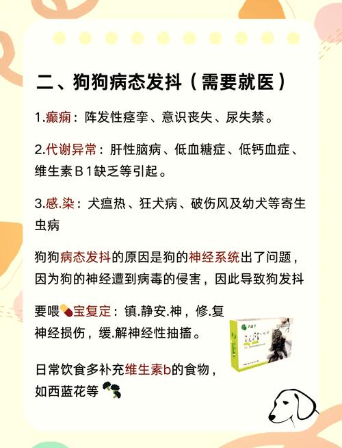 狗狗抽搐的原因,狗狗抽搐的原因及处理方法?-第4张图片-后鲨宠物 狗狗抽搐的原因,狗狗抽搐的原因及处理方法?-第4张图片-后鲨宠物