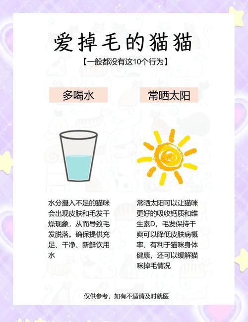 怎么让猫咪不掉毛,怎样使猫咪不掉毛-第3张图片-后鲨宠物 怎么让猫咪不掉毛,怎样使猫咪不掉毛-第3张图片-后鲨宠物