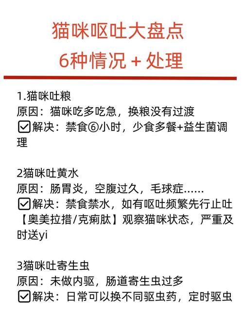 猫咪吃多了会吐吗,猫咪吃多了会吐吗?-第2张图片-后鲨宠物 猫咪吃多了会吐吗,猫咪吃多了会吐吗?-第2张图片-后鲨宠物