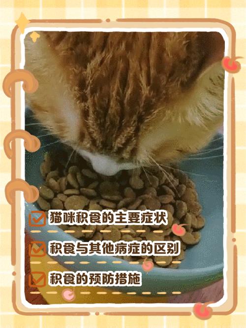 猫咪吃多了会吐吗,猫咪吃多了会吐吗?-第5张图片-后鲨宠物 猫咪吃多了会吐吗,猫咪吃多了会吐吗?-第5张图片-后鲨宠物