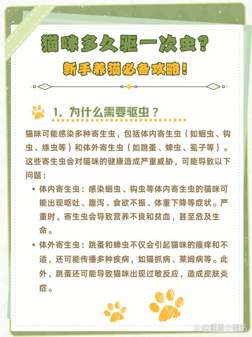 猫咪体内外驱虫多久一次，不出门的猫多久驱虫一次好？-第3张图片-后鲨宠物