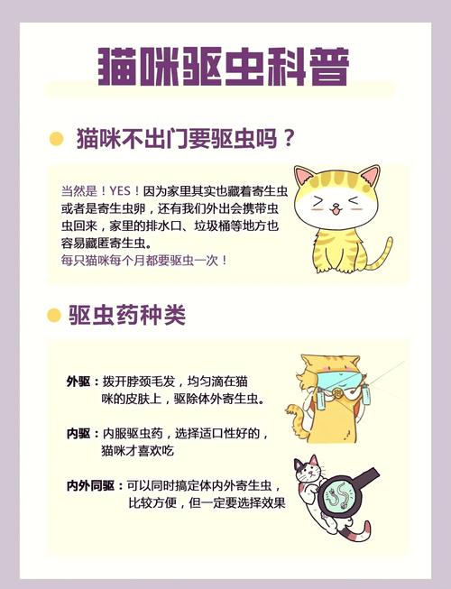 猫咪体内外驱虫多久一次，不出门的猫多久驱虫一次好？-第5张图片-后鲨宠物