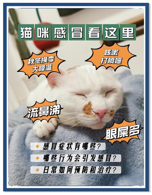 猫咪咳嗽是什么样子的,猫咪咳嗽是什么样子的视频-第4张图片-后鲨宠物 猫咪咳嗽是什么样子的,猫咪咳嗽是什么样子的视频-第4张图片-后鲨宠物