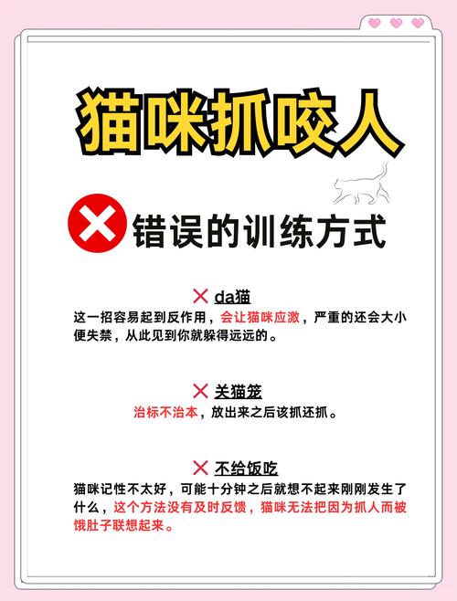 猫咪咬人怎么办_猫咪咬人怎么办?别轻视,这个应对方法最有效-第2张图片-后鲨宠物 猫咪咬人怎么办_猫咪咬人怎么办?别轻视,这个应对方法最有效-第2张图片-后鲨宠物