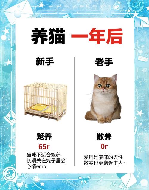 怎么讨猫咪喜欢,怎么要猫咪喜欢你?-第1张图片-后鲨宠物 怎么讨猫咪喜欢,怎么要猫咪喜欢你?-第1张图片-后鲨宠物
