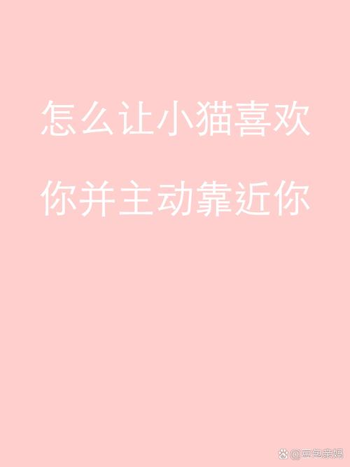 怎么讨猫咪喜欢,怎么要猫咪喜欢你?-第3张图片-后鲨宠物 怎么讨猫咪喜欢,怎么要猫咪喜欢你?-第3张图片-后鲨宠物