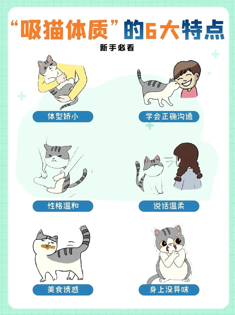 怎么讨猫咪喜欢,怎么要猫咪喜欢你?-第5张图片-后鲨宠物 怎么讨猫咪喜欢,怎么要猫咪喜欢你?-第5张图片-后鲨宠物