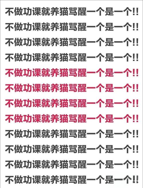 猫咪吃的少怎么办,猫咪吃得少了怎么回事-第5张图片-后鲨宠物 猫咪吃的少怎么办,猫咪吃得少了怎么回事-第5张图片-后鲨宠物