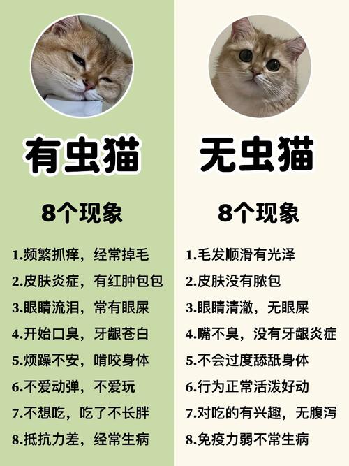 猫咪多大开始刷牙_为什么不建议给猫刷牙-第2张图片-后鲨宠物 猫咪多大开始刷牙_为什么不建议给猫刷牙-第2张图片-后鲨宠物
