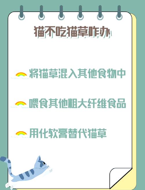 猫咪不吃猫草怎么办,猫会主动吃猫草吗?-第2张图片-后鲨宠物 猫咪不吃猫草怎么办,猫会主动吃猫草吗?-第2张图片-后鲨宠物