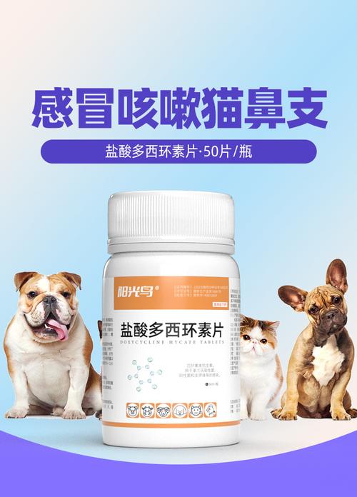 猫咪感冒流鼻涕,猫咪感冒流鼻涕打喷嚏可以吃人的药吗??-第5张图片-后鲨宠物 猫咪感冒流鼻涕,猫咪感冒流鼻涕打喷嚏可以吃人的药吗??-第5张图片-后鲨宠物