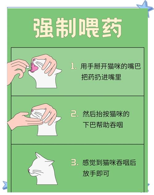 怎么给猫咪喂药_怎么给猫咪喂药不抗拒-第4张图片-后鲨宠物 怎么给猫咪喂药_怎么给猫咪喂药不抗拒-第4张图片-后鲨宠物