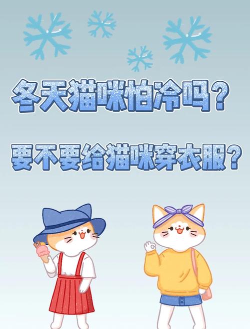 猫咪冬天需要穿衣服吗_猫冬天要给它穿衣服吗