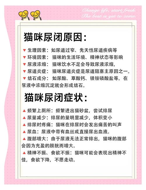 猫猫一天尿几次正常_猫咪一天尿几次算尿频-第5张图片-后鲨宠物