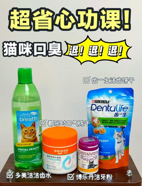 猫咪口臭吃什么_猫咪口臭吃什么猫粮好-第4张图片-后鲨宠物 猫咪口臭吃什么_猫咪口臭吃什么猫粮好-第4张图片-后鲨宠物