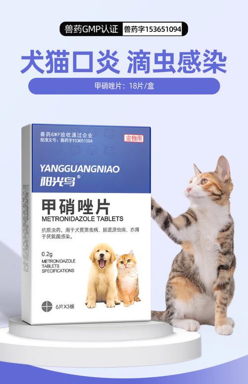 猫咪口臭吃什么_猫咪口臭吃什么猫粮好-第5张图片-后鲨宠物 猫咪口臭吃什么_猫咪口臭吃什么猫粮好-第5张图片-后鲨宠物