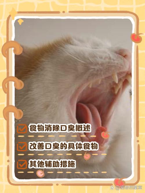 猫咪口臭吃什么_猫咪口臭吃什么猫粮好-第6张图片-后鲨宠物 猫咪口臭吃什么_猫咪口臭吃什么猫粮好-第6张图片-后鲨宠物