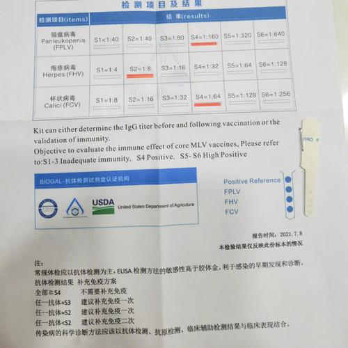 猫咪抗体检查多少钱,猫咪检查一下抗体需要多少费用?-第4张图片-后鲨宠物 猫咪抗体检查多少钱,猫咪检查一下抗体需要多少费用?-第4张图片-后鲨宠物