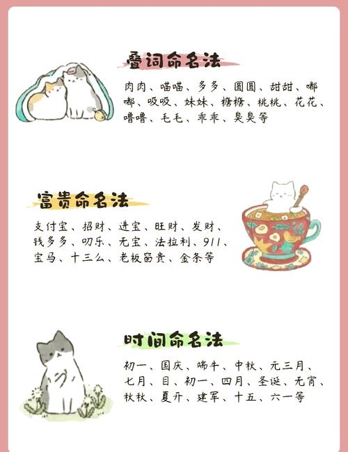 给猫咪取个特殊的名字_给猫咪取一个独一无二的名字-第6张图片-后鲨宠物 给猫咪取个特殊的名字_给猫咪取一个独一无二的名字-第6张图片-后鲨宠物