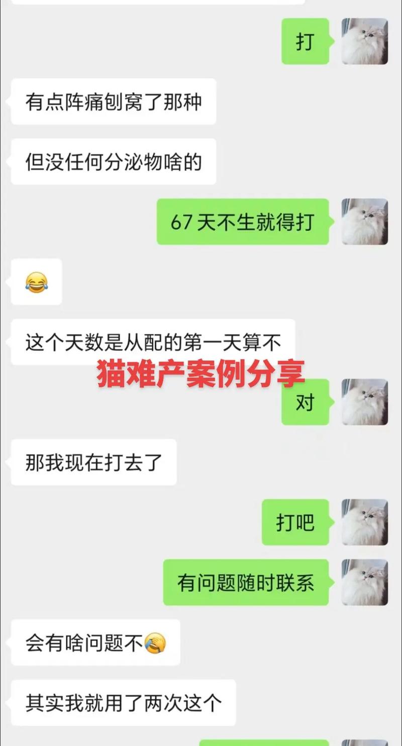 猫咪妊娠期多久,猫的妊娠期几周?-第4张图片-后鲨宠物 猫咪妊娠期多久,猫的妊娠期几周?-第4张图片-后鲨宠物