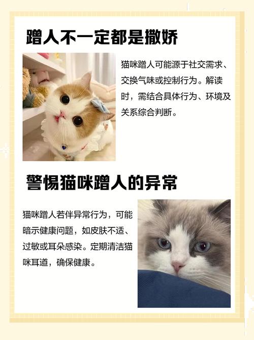 猫咪弓着背走路，猫咪弓着背走路不稳斜的怎么回事？-第4张图片-后鲨宠物