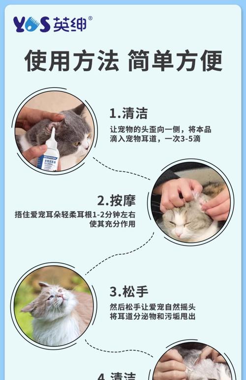 猫咪怎么除耳螨，猫咪除耳螨多少钱？-第2张图片-后鲨宠物