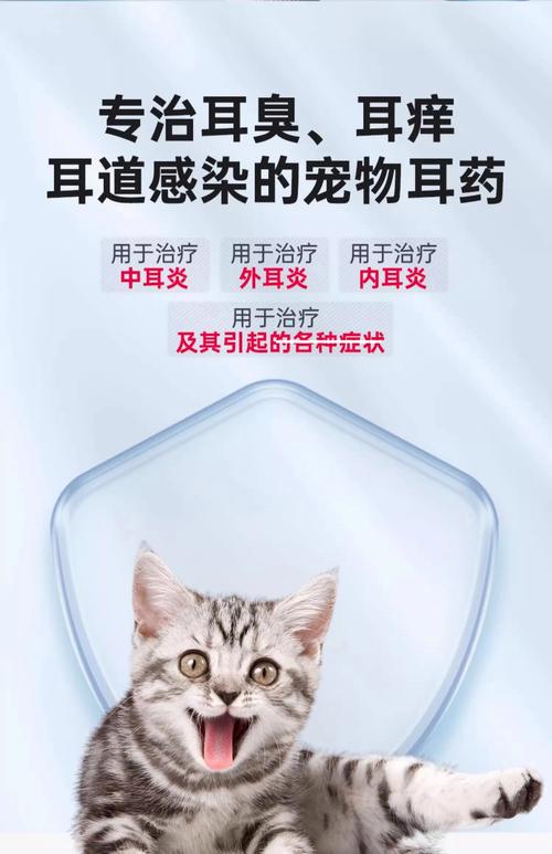 猫咪怎么除耳螨，猫咪除耳螨多少钱？-第4张图片-后鲨宠物
