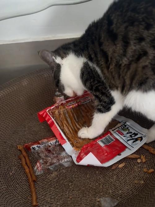 猫咪可以吃辣吗_猫咪可以吃辣的东西吗-第5张图片-后鲨宠物