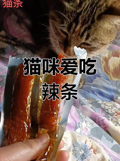 猫咪可以吃辣吗_猫咪可以吃辣的东西吗-第6张图片-后鲨宠物