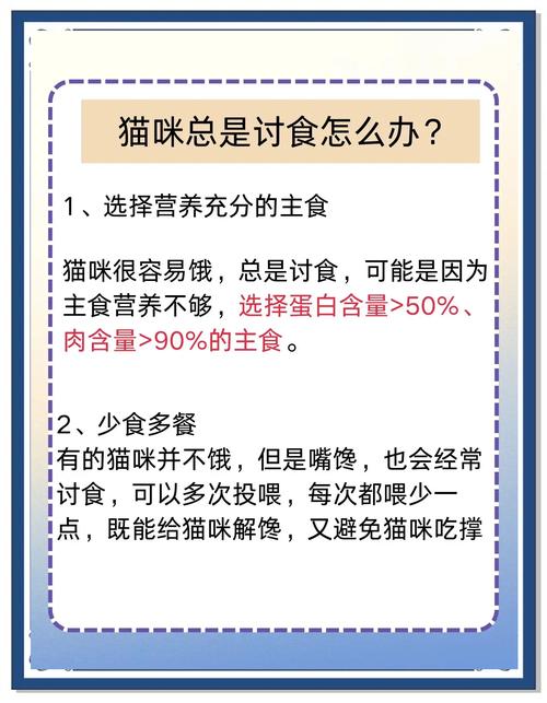 猫咪饿了的表现,猫咪饿了的表现图片?-第1张图片-后鲨宠物 猫咪饿了的表现,猫咪饿了的表现图片?-第1张图片-后鲨宠物