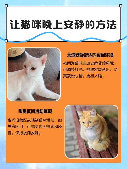 怎么让猫咪睡觉,咋让猫睡觉?-第2张图片-后鲨宠物 怎么让猫咪睡觉,咋让猫睡觉?-第2张图片-后鲨宠物